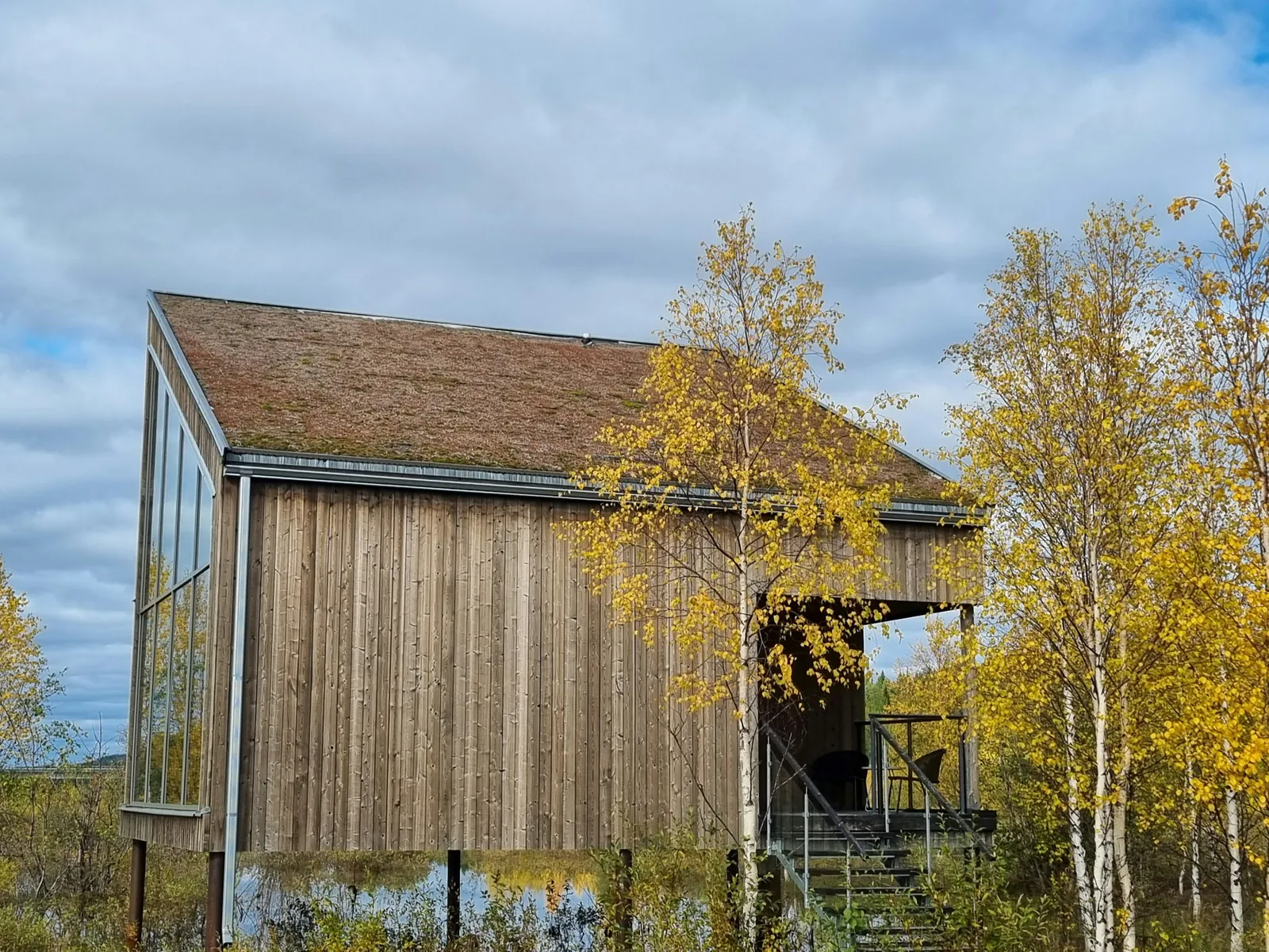Chalet écoresponsable moderne en bois avec toit végétalisé parmi les arbres d'automne