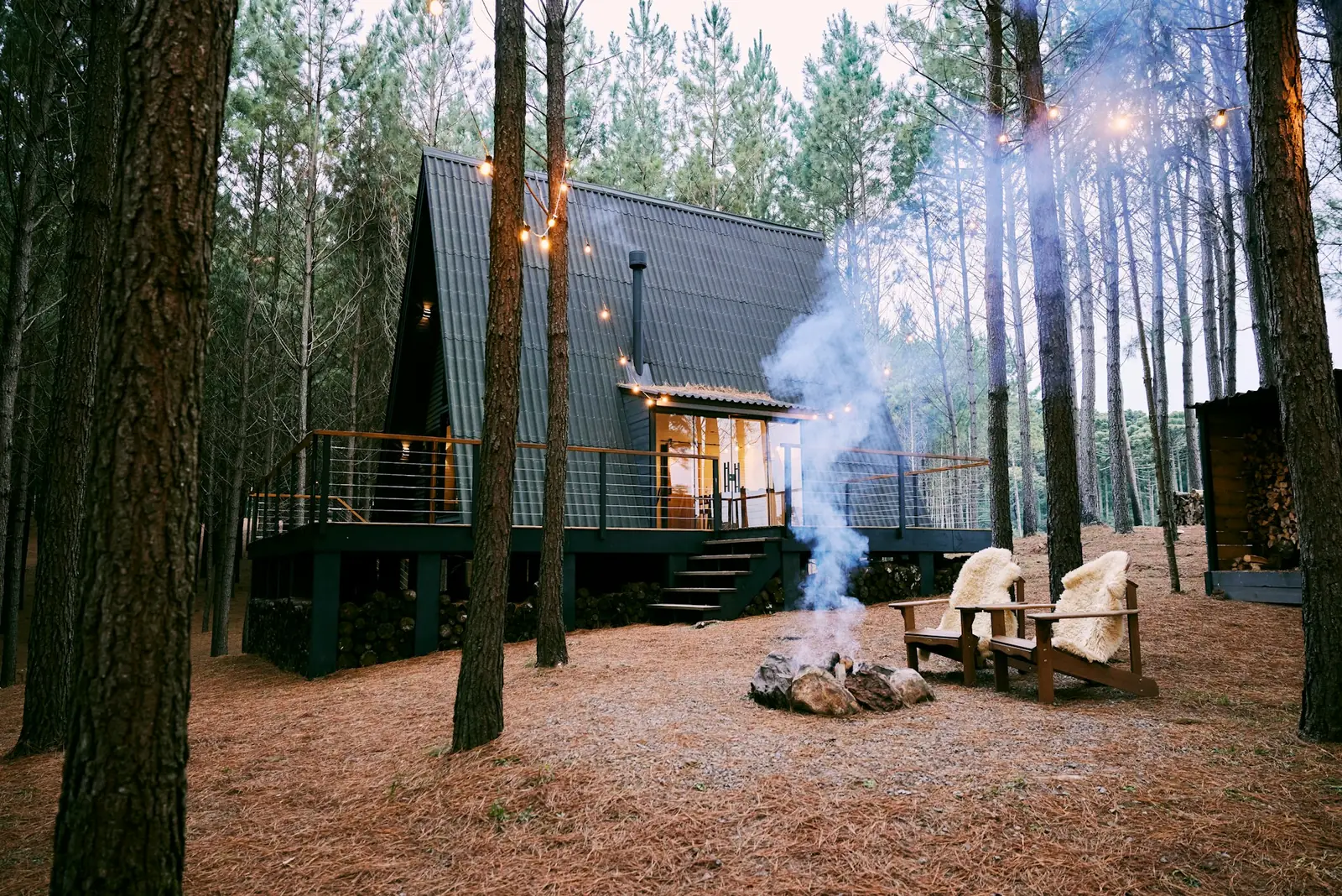 Chalet moderne en forêt de pins avec grandes fenêtres et foyer extérieur, pensé pour la location saisonnière