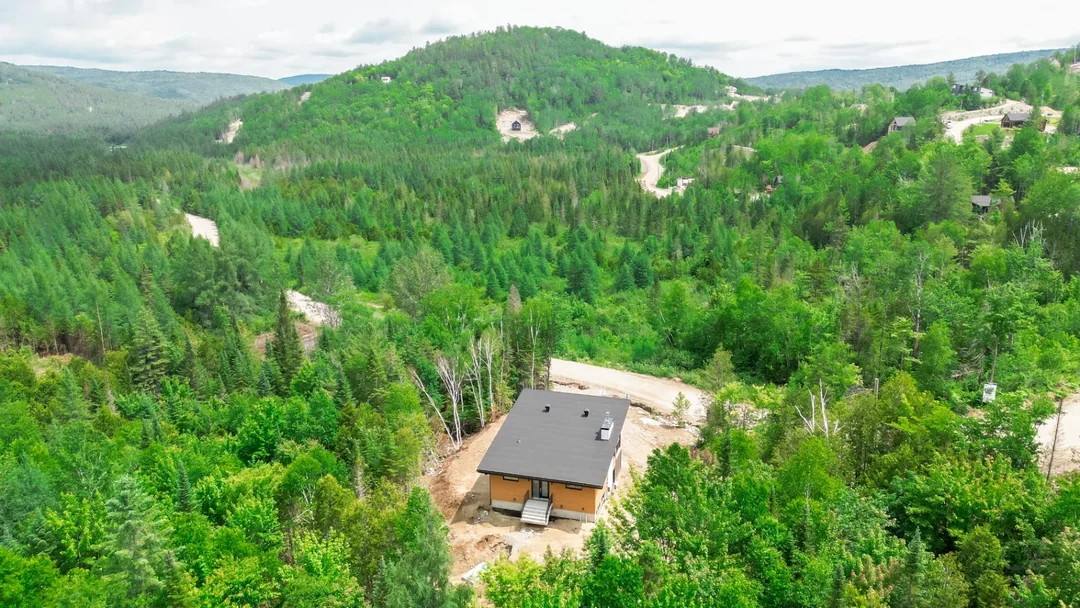 Aerial view of a new cottage nestled in a wooded, rolling valley in summer