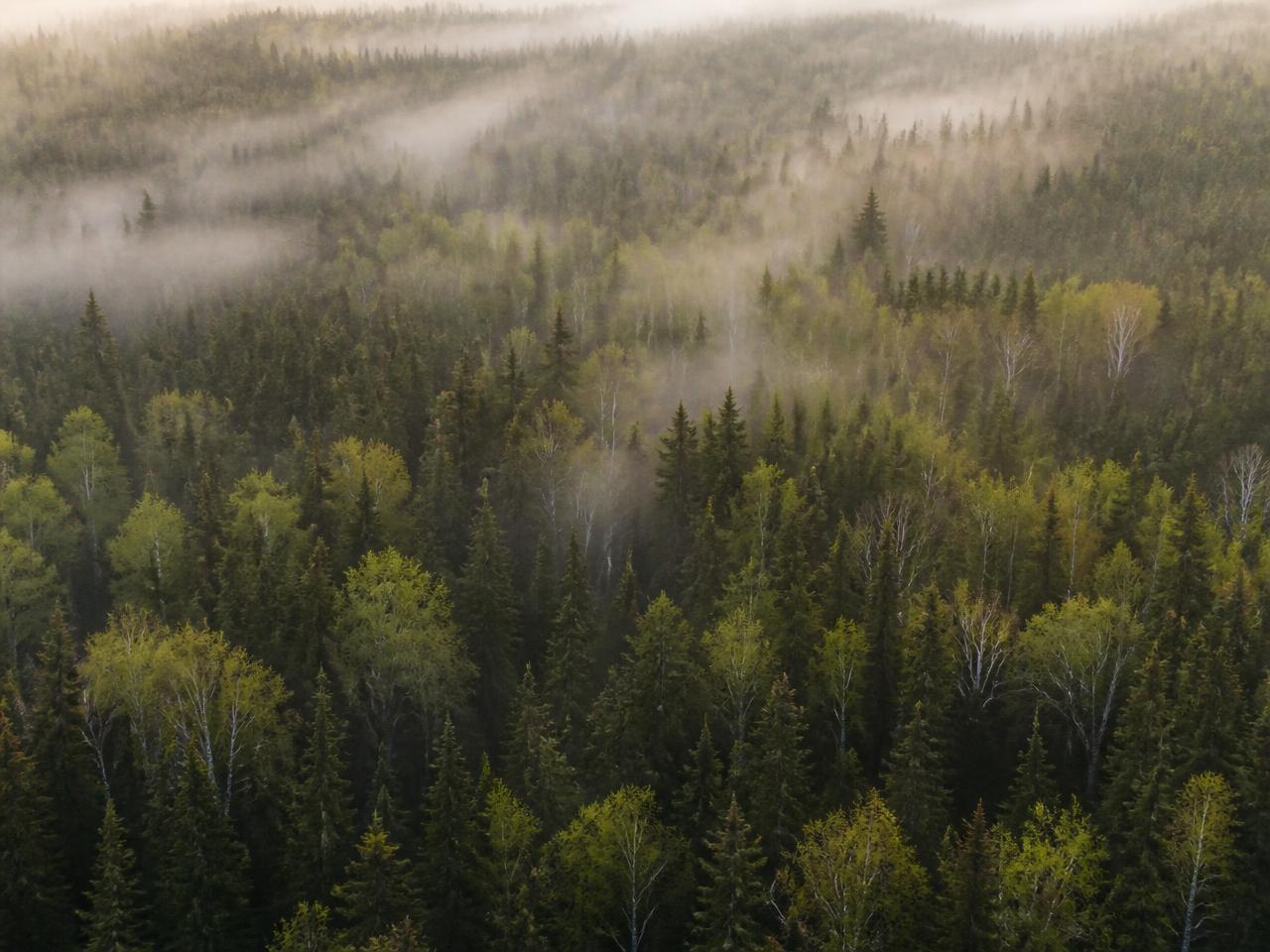Terrain en développement — À venir